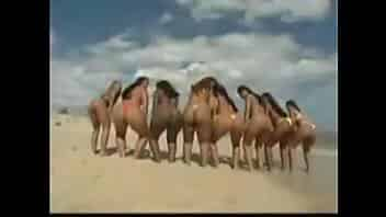 Brazilian Orgy Compilation video