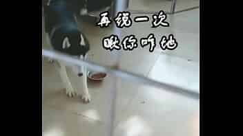 狗狗大站猫咪 video